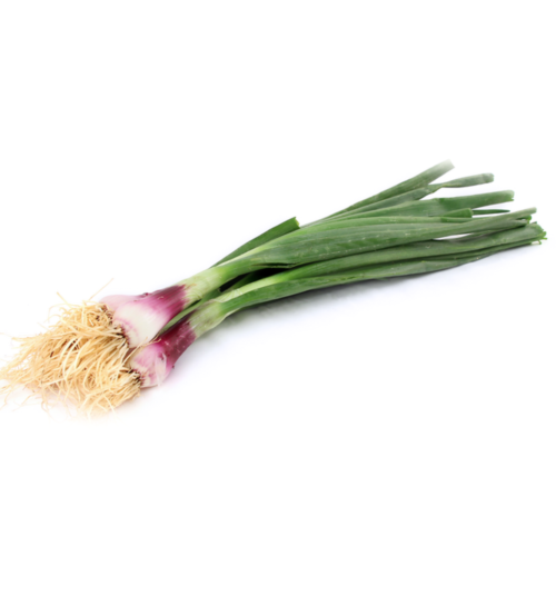 Organic Growth Spring Onion 自然栽种葱