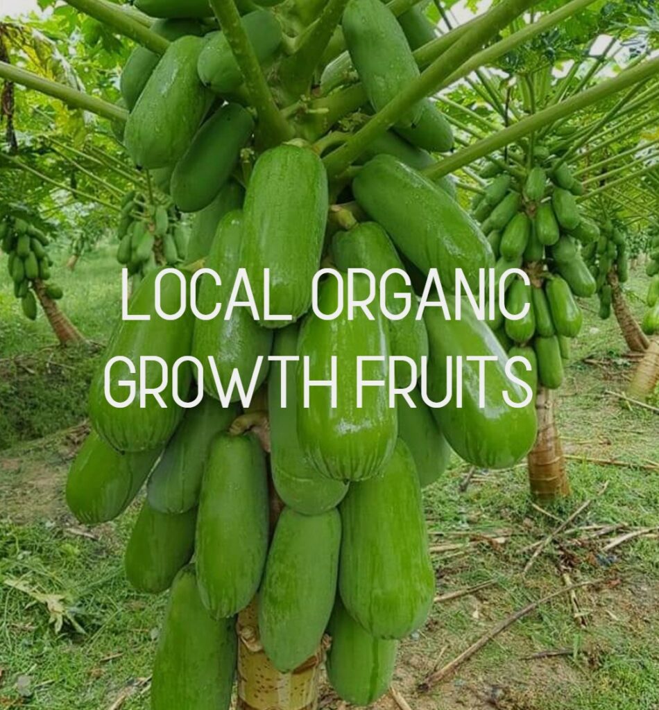Local Organic Growth Fruits